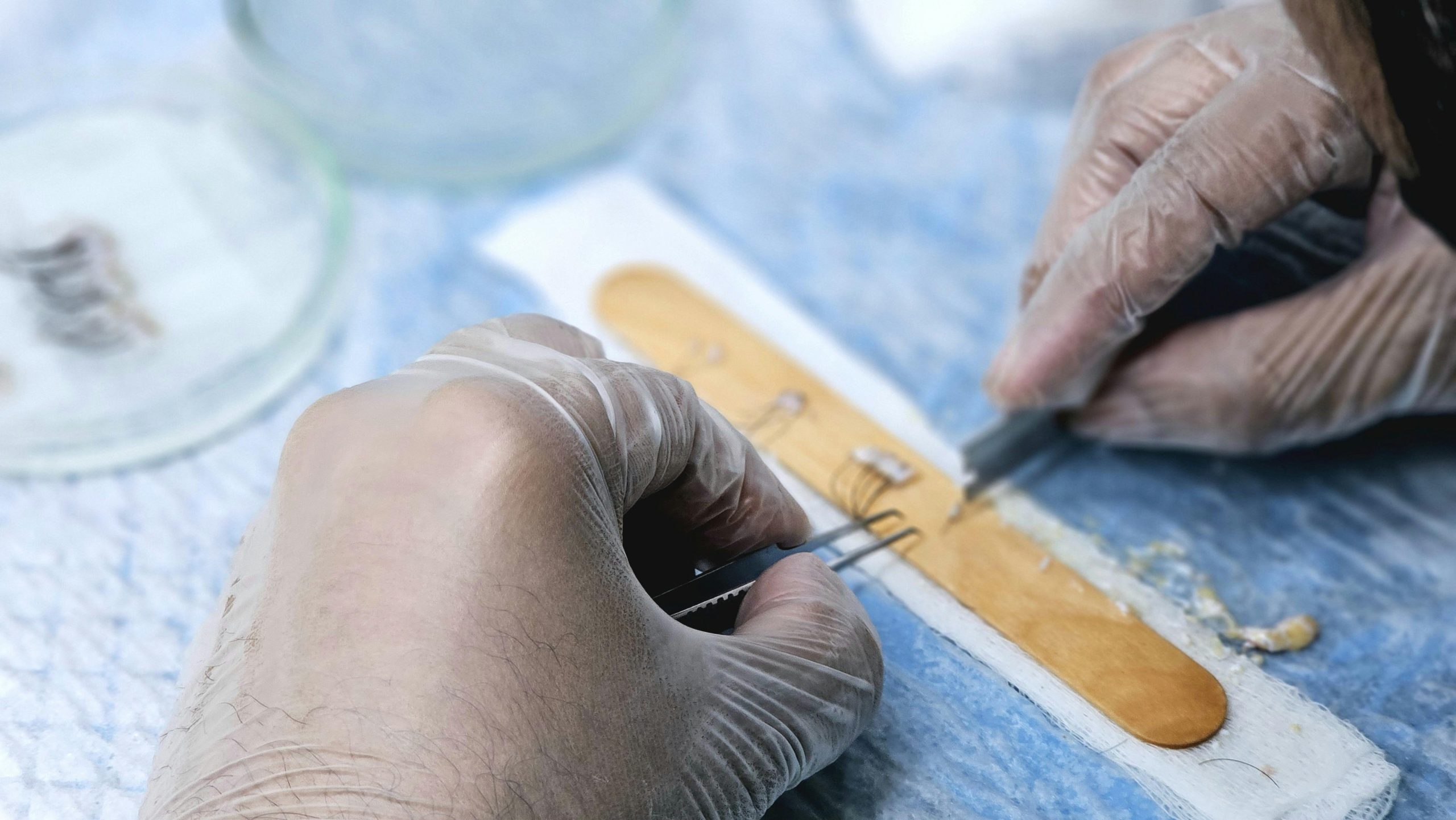 pexels-drmkhawarnazir-27138343 (1)